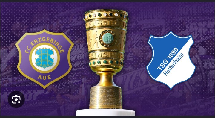Spiel zwischen Erzgebirge Aue und Hoffenheim abgesagt